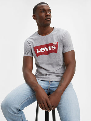 Levi's Mens Batwing Graphic Tee - Midtone